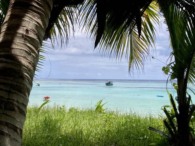 Foto 2 von Claus B. (19.3.26)