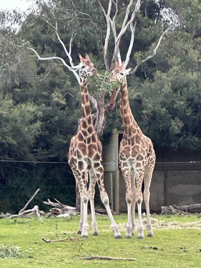 Photo 7 by Cindy O. (6/14/24)