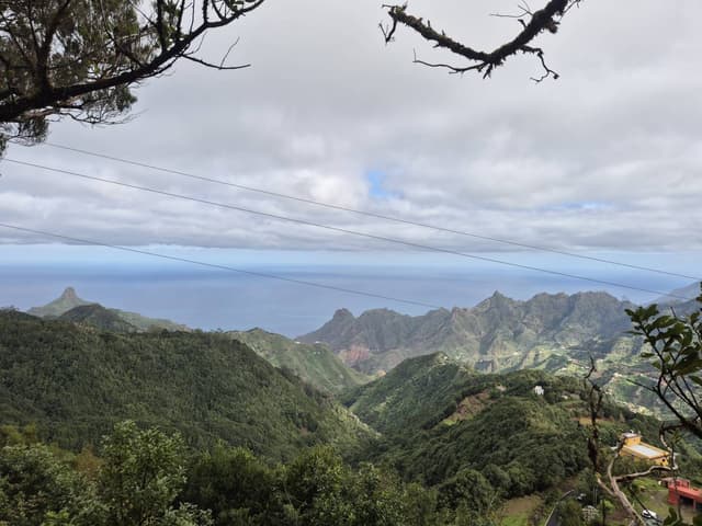 Fotografia 5 realizată de Elena M. (01.01.26)