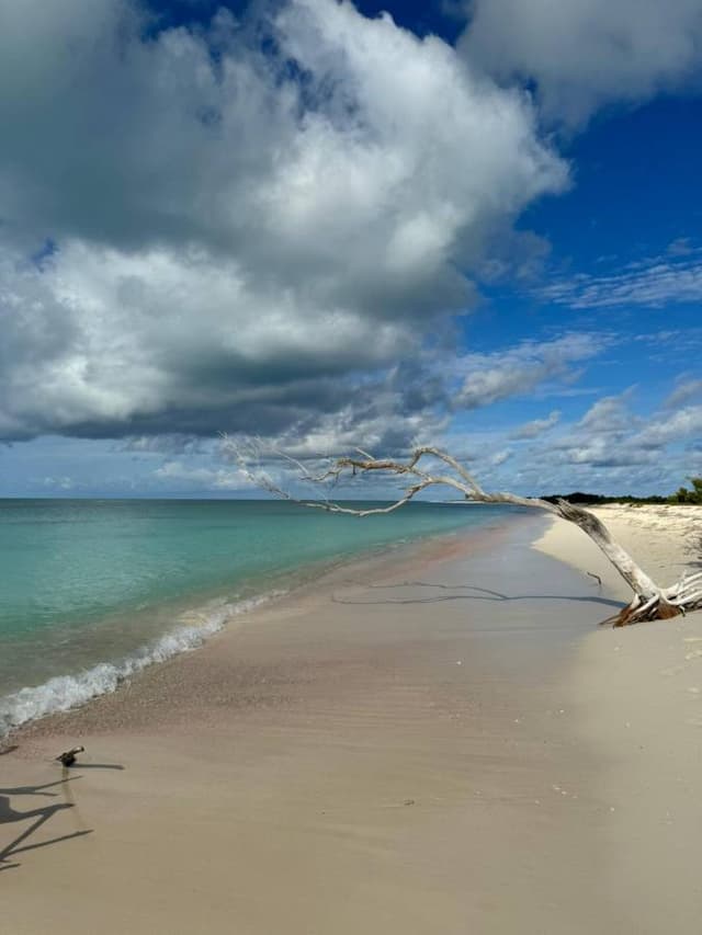 Foto 3 di Antonio D. (17/01/25)