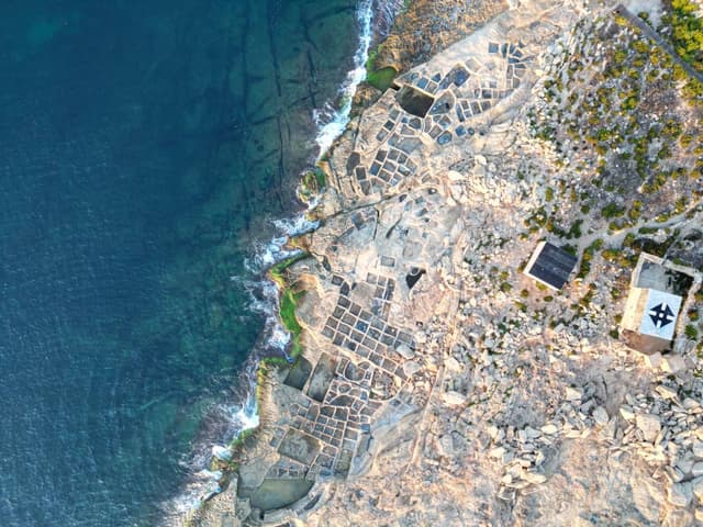 Photo by Aroha P. (10/14/23)