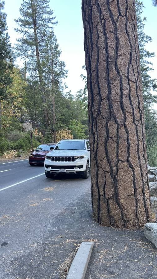 Photo 5 by Philip B. (10/27/24)