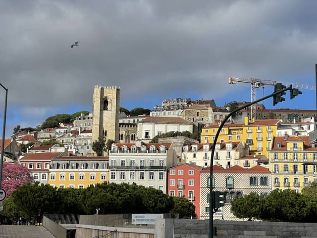 Foto 6 van Jeroen V. (24-10-25)