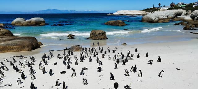 Photo 2 by MELANIE C. (10/30/25)