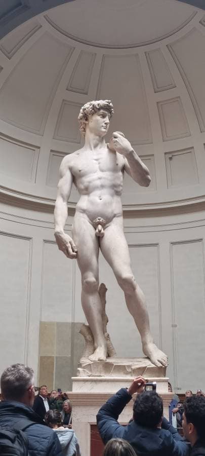 Photo by Dom S. (4/5/26)