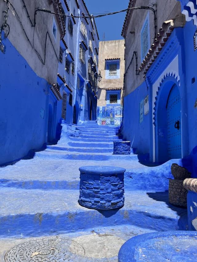 Photo 3 by Harry M. (5/12/25)