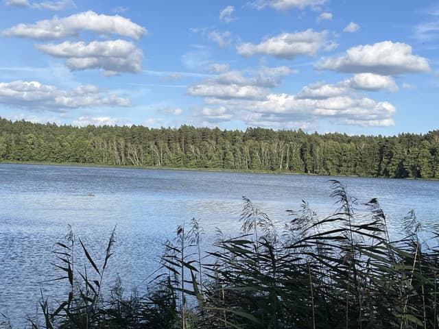 Photo 6 by Marcin Z. about hiring a Volkswagen Golf in Wroclaw (25/08/24)