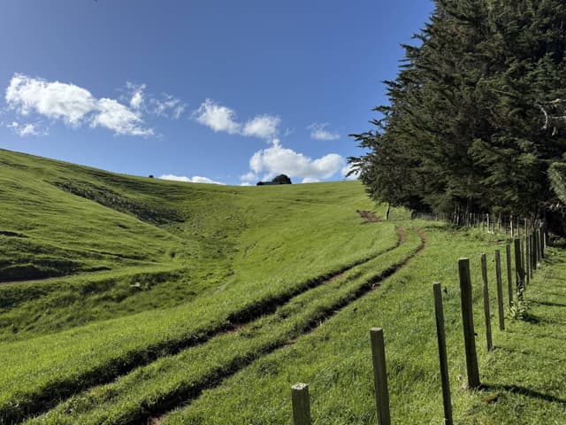 Photo 7 by Alain B. about hiring a Mazda Demio at Christchurch Airport (20/11/25)