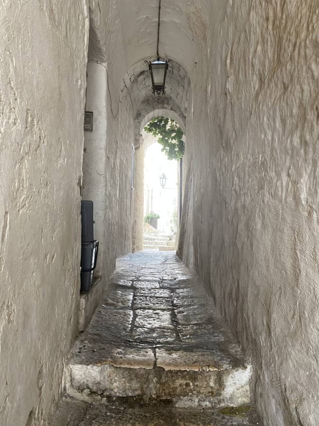 Photo 5 par ARNAUD L. (31/10/23)