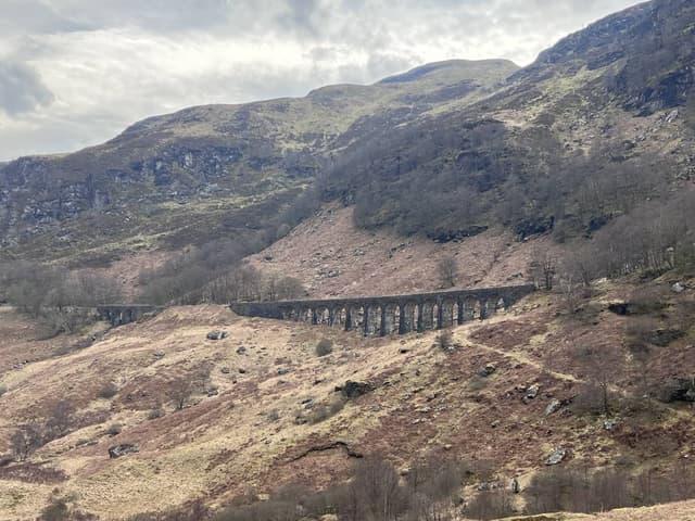 Photo 4 by Lisa F. (4/19/23)