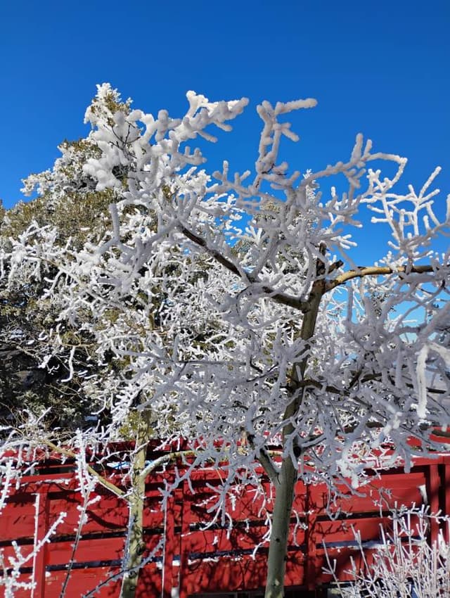 Photo 13 by Martina S. (2/18/26)