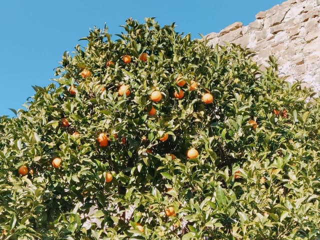 Zdjęcie 4 wykonane przez Adam R. (26.02.24)