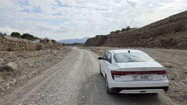 Photo by Michal K. (1/12/26)