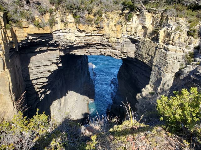 Photo 4 by CHUN WAI C. (1/23/26)