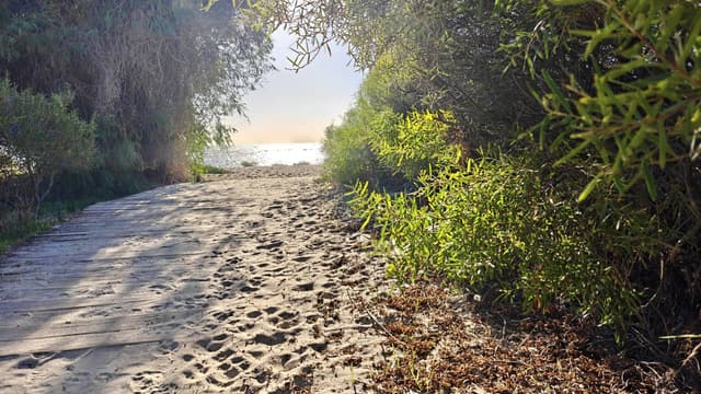 Photo 3 by Peter S. (5/11/26)