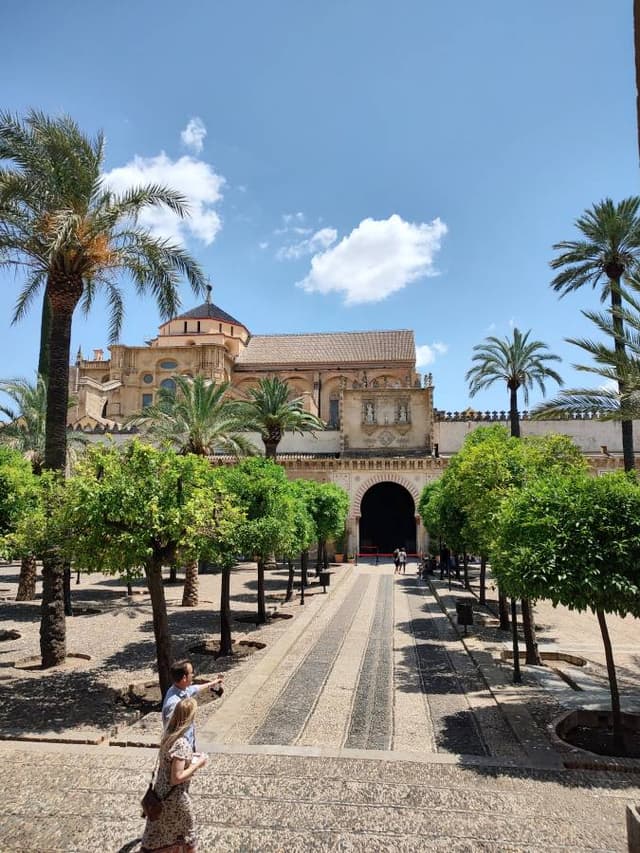 Zdjęcie 1 wykonane przez Zbigniew K. (4.06.23)