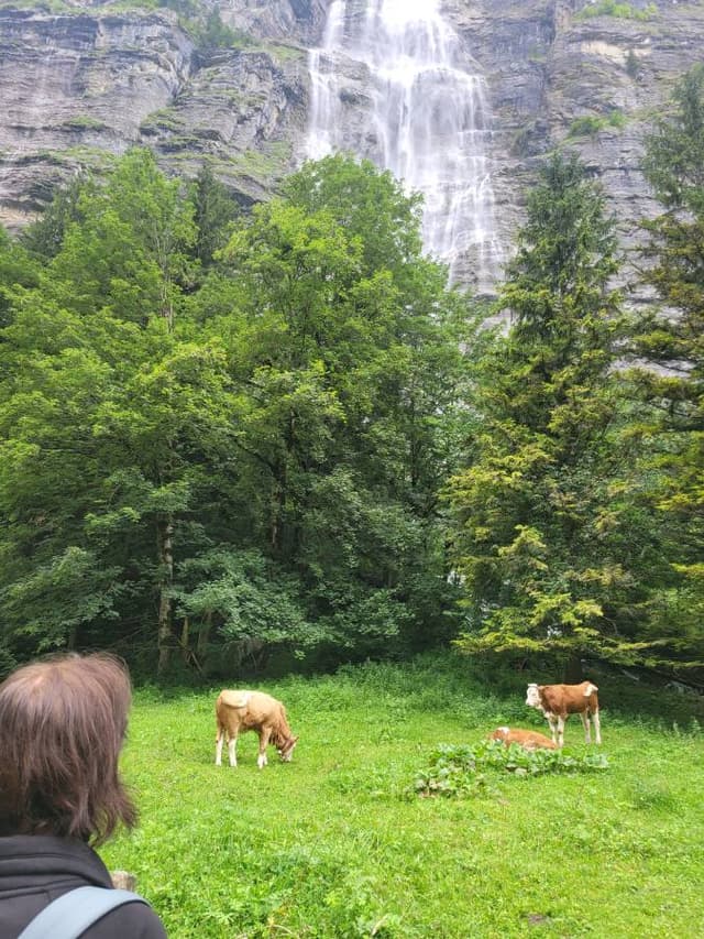 Photo 4 by Isaac S. (8/8/25)