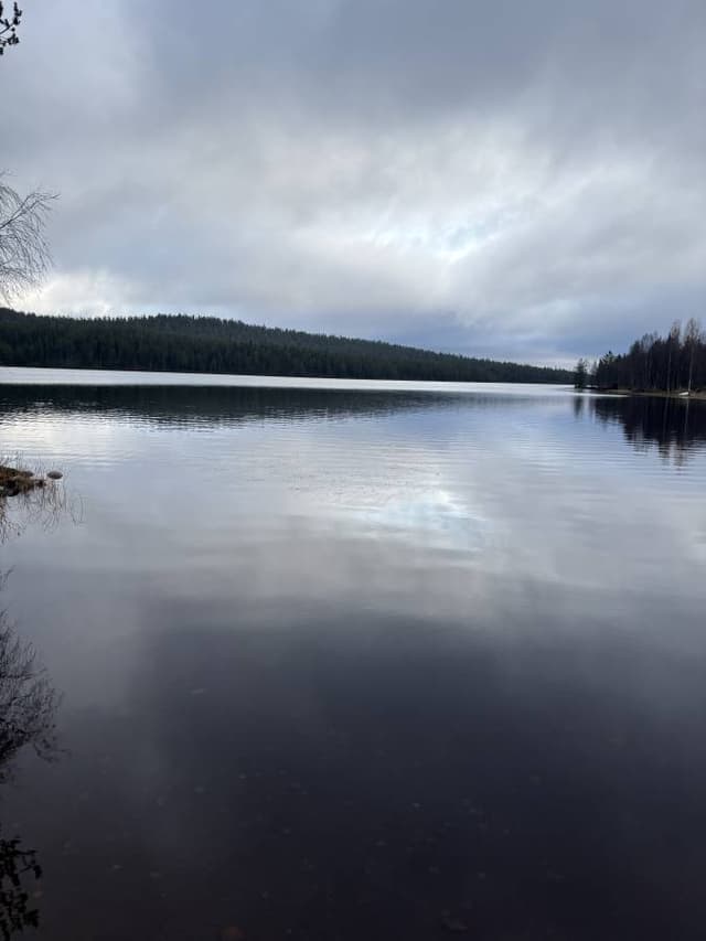 Photo by Yuval P. (10/15/25)