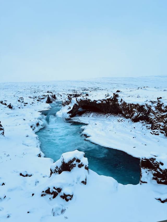 Foto 2 van Robin D. (11-1-24)