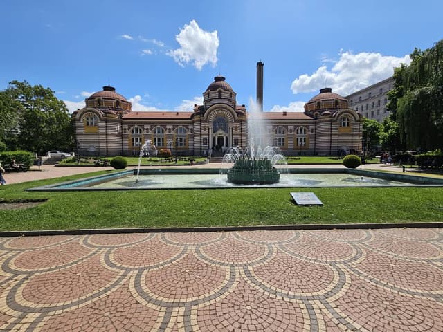 תמונה 4 מאת tzipora M. (22.5.25)