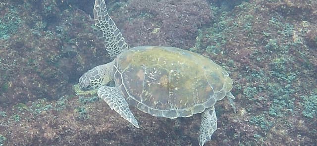 Photo 2 by Mark K. (3/22/26)