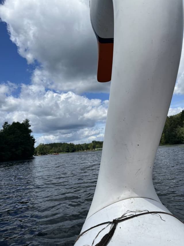 Photo 7 by Marcin Z. about hiring a Volkswagen Golf in Wroclaw (25/08/24)