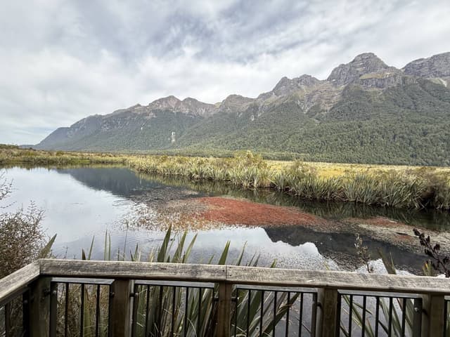 Photo 3 by Mayank B. (3/23/26)