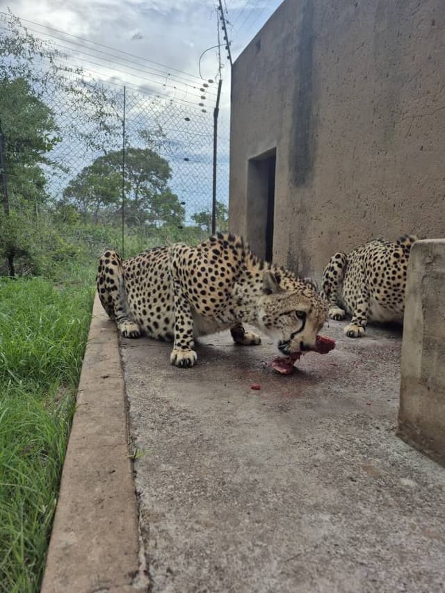 Photo 3 by Tafadzwa M. (12/28/25)