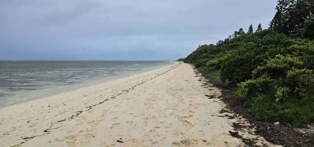 Photo 6 by Dylan L. about renting a Dacia Logan in New Caledonia (7/7/25)