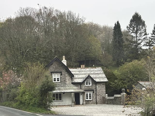 Photo 5 by Robert T. (4/16/26)