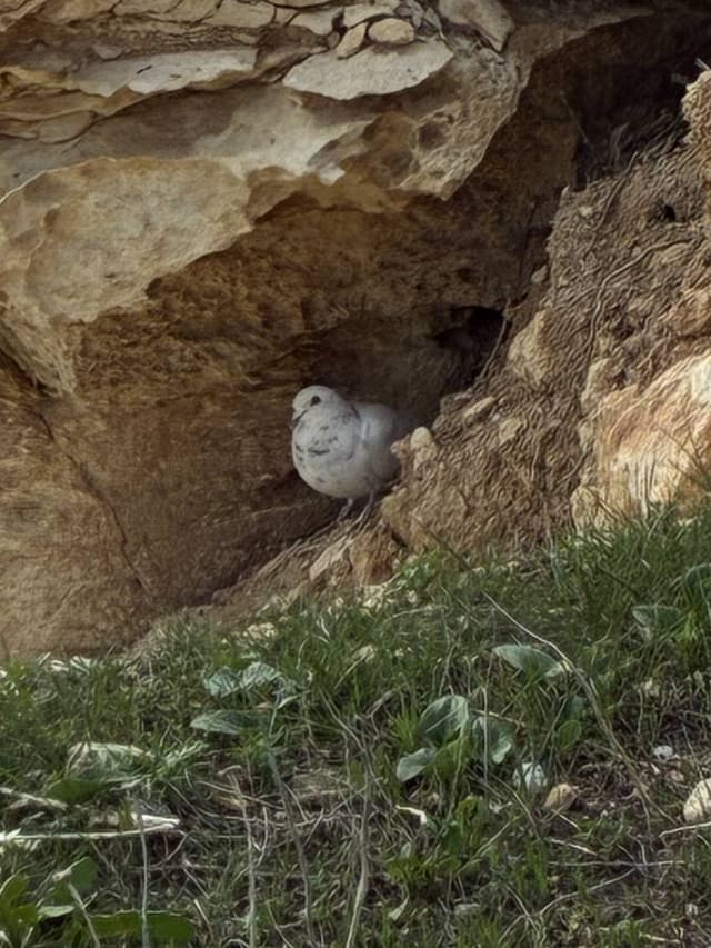 Zdjęcie 6 wykonane przez Marek W. (7.12.25)