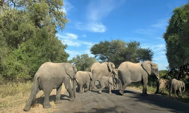Photo by James A. about renting a Toyota Corolla Cross in South Africa (5/21/25)