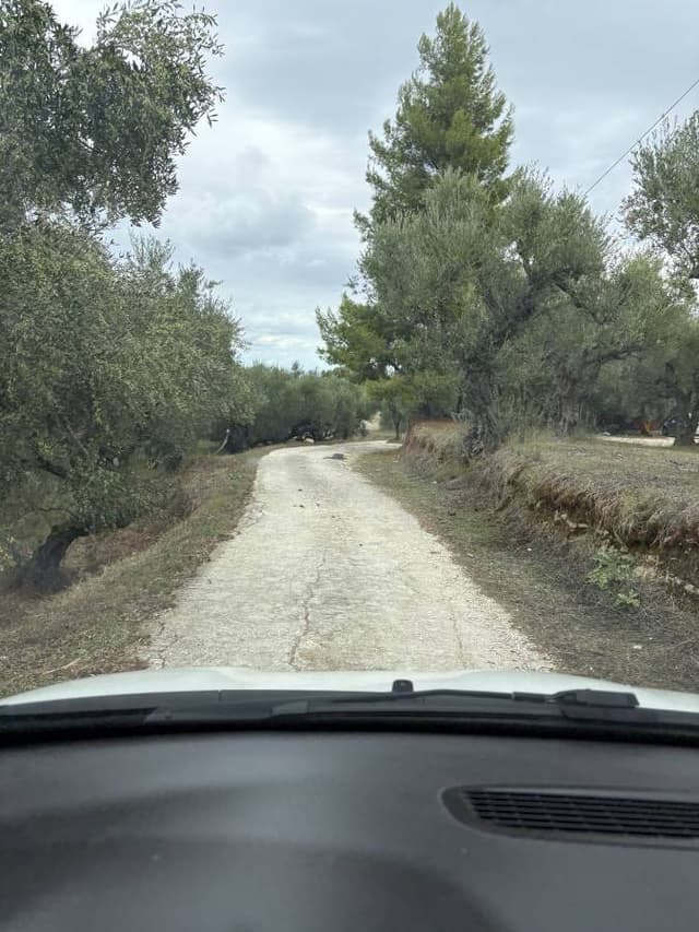 Photo 3 by Marius H. about renting a Fiat Panda at Zakynthos Airport (10/12/25)