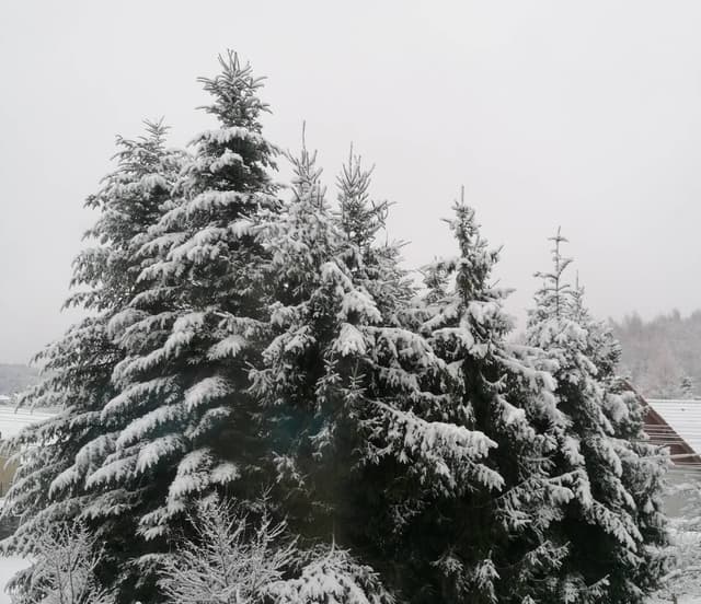 Photo 8 by Pawel W. about renting a Toyota Yaris in Poland (12/30/23)