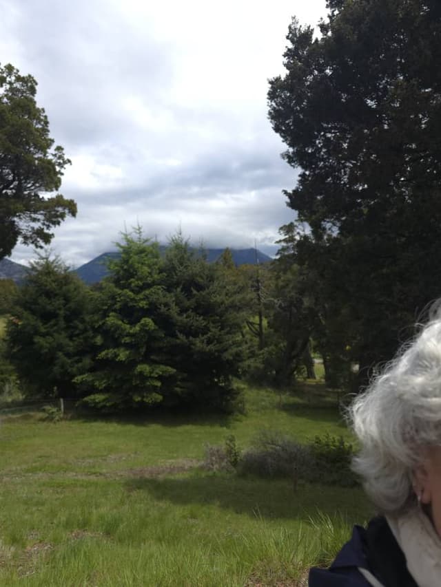 Foto 8 de DIANA M V. (14/11/25)