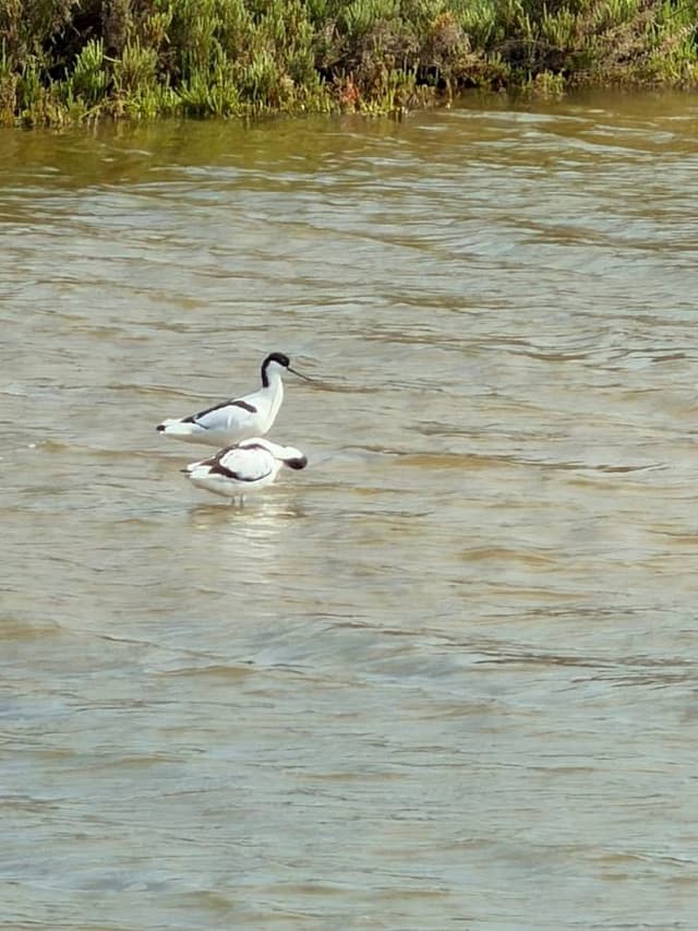 Photo 4 by John B. (3/31/26)