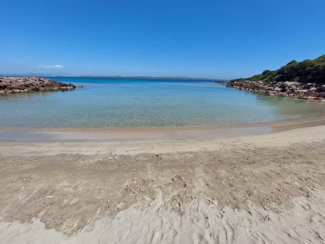 Foto 3 di MARIO NATALE D. sul noleggio di una Fiat Panda in Sardegna (31/05/25)