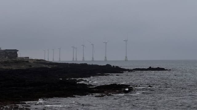 Photo 13 by Mohan S. (4/14/26)