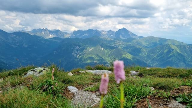 Photo 4 by Aleksandrs M. about renting a Toyota Corolla at Krakow Airport (7/13/24)