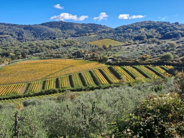 Photo 5 by Matthew D. (11/11/25)