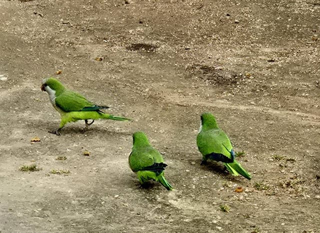 Photo 9 by Catherine S. (3/29/26)