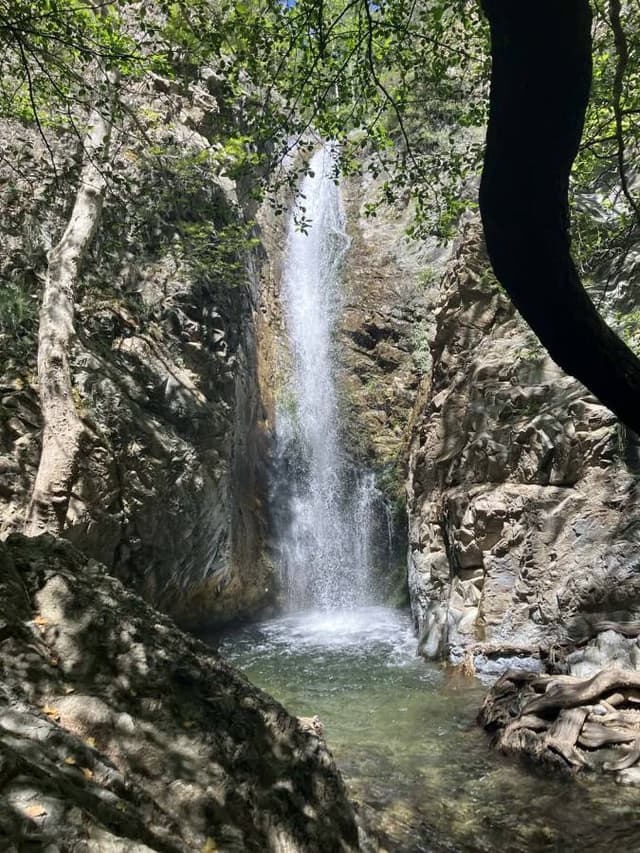 Photo 4 by Dariusz B. (5/18/26)