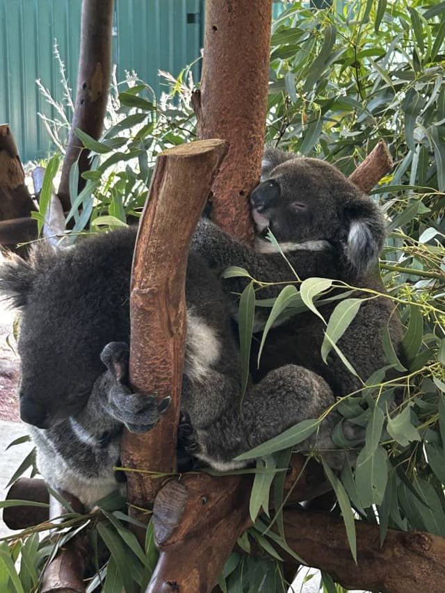 Foto 3 di Marco M. (19/02/26)