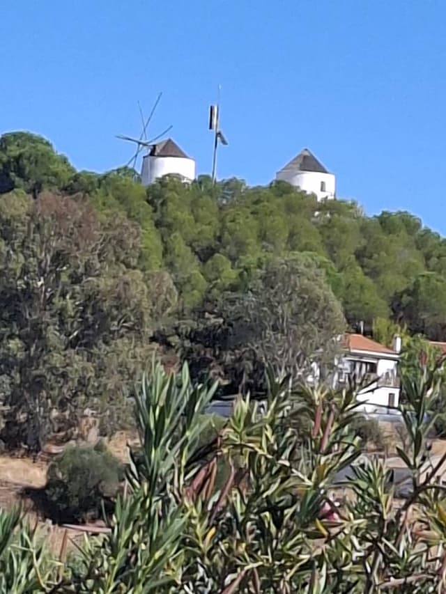 Foto 4 von Wilfried H. (9.10.25)