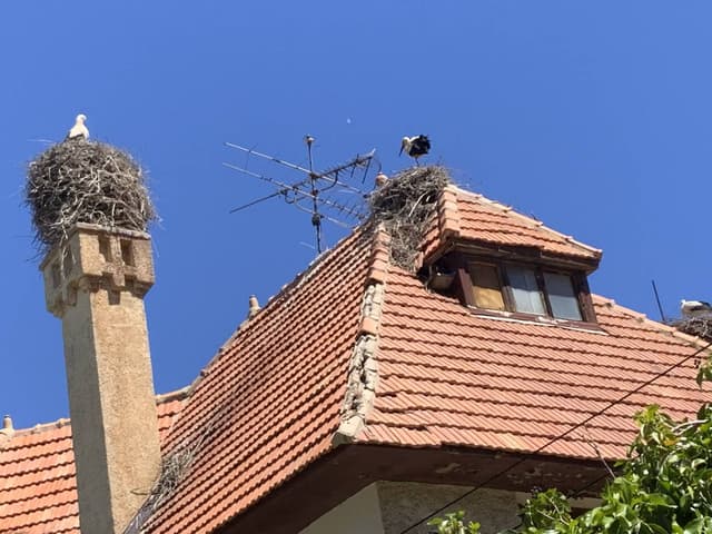 Photo 1 par Ahmed B. (21/05/24)