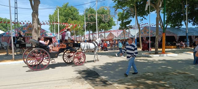 Foto 4 de Pedro G. (3/5/26)