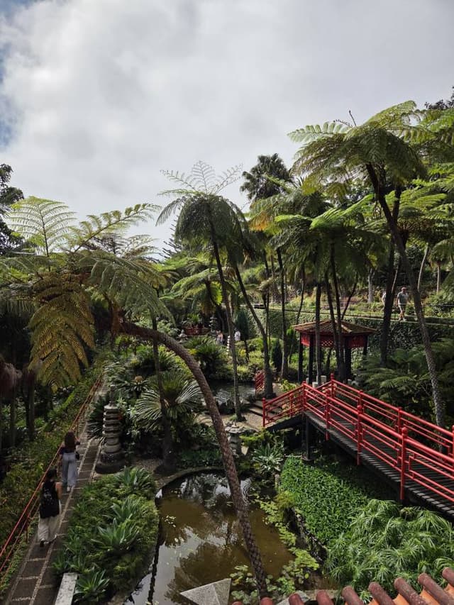 Foto 3 van Karin O. (25-10-25)