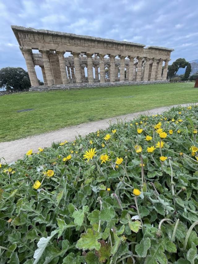 Photo 3 by Maria A. (3/26/26)