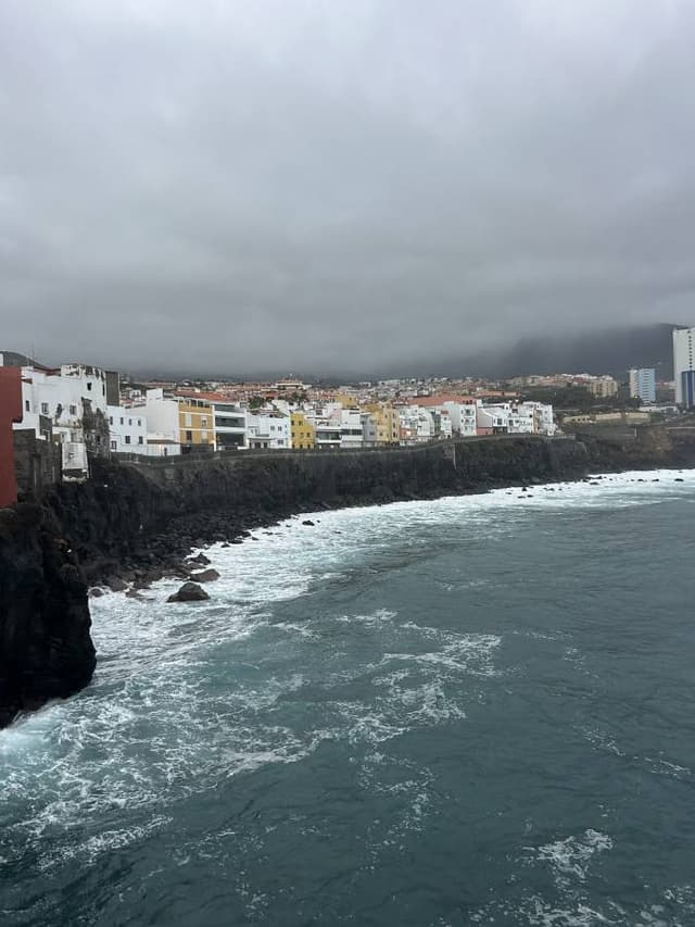 Photo 4 by Arash J. (12/13/25)