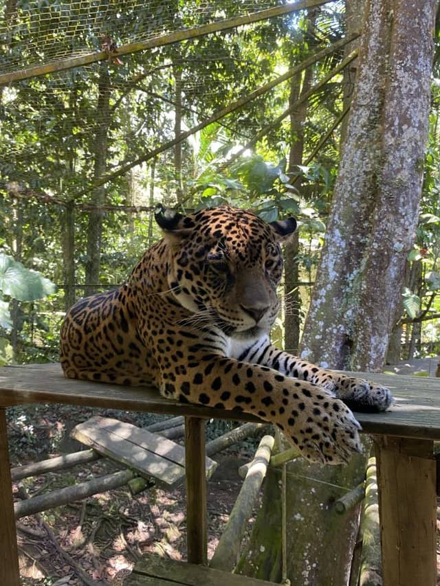 Photo by Patrick F. (3/17/26)